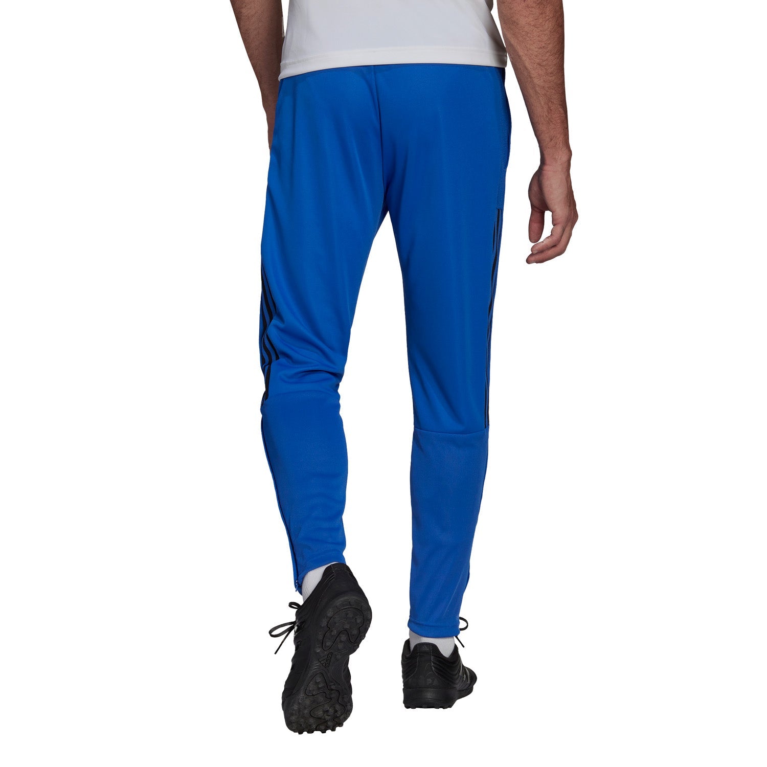 Pantalón Hombre Entrenamiento  21/22