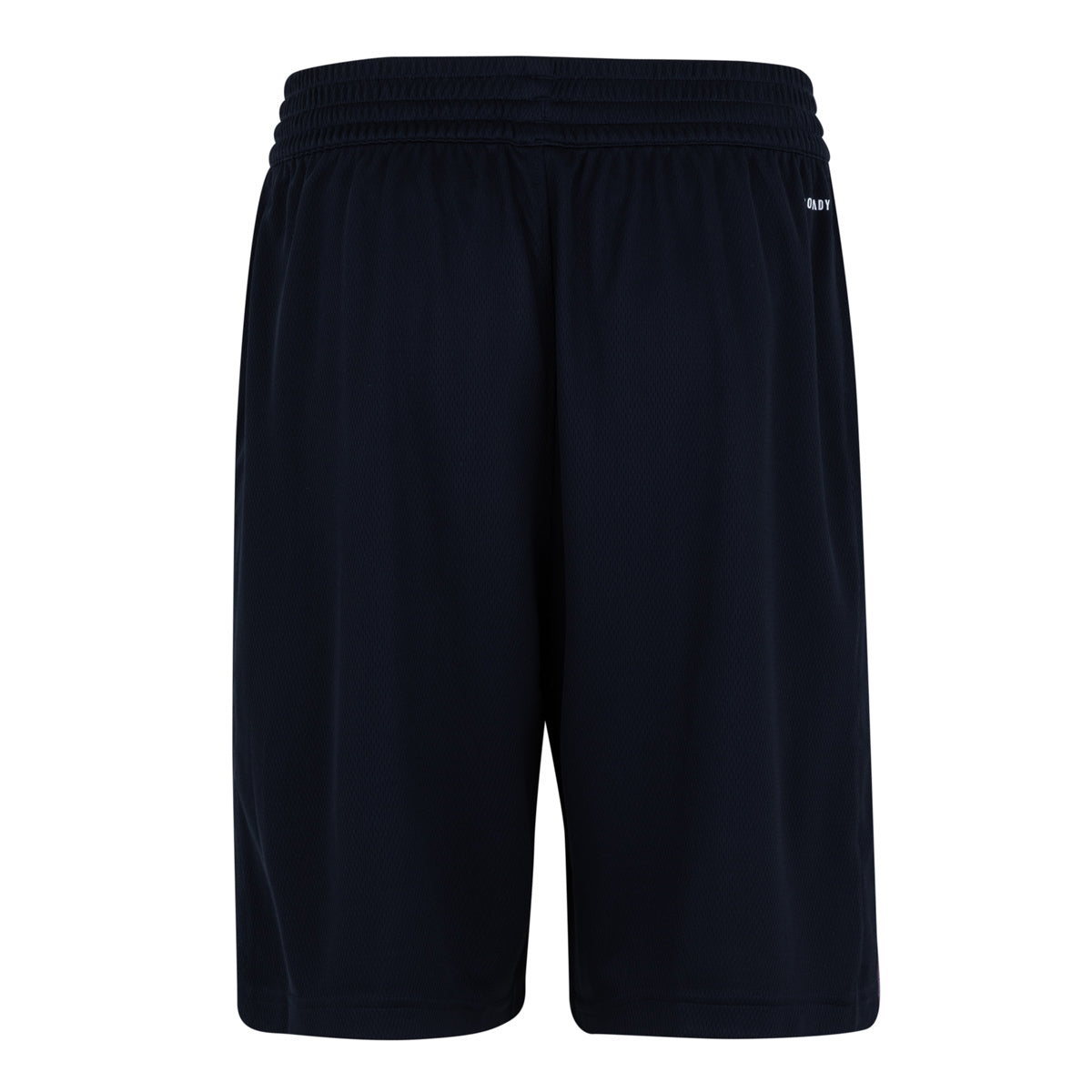 Pantalón Corto Hombre Baloncesto Segunda Equipación Azul Marino 23/24