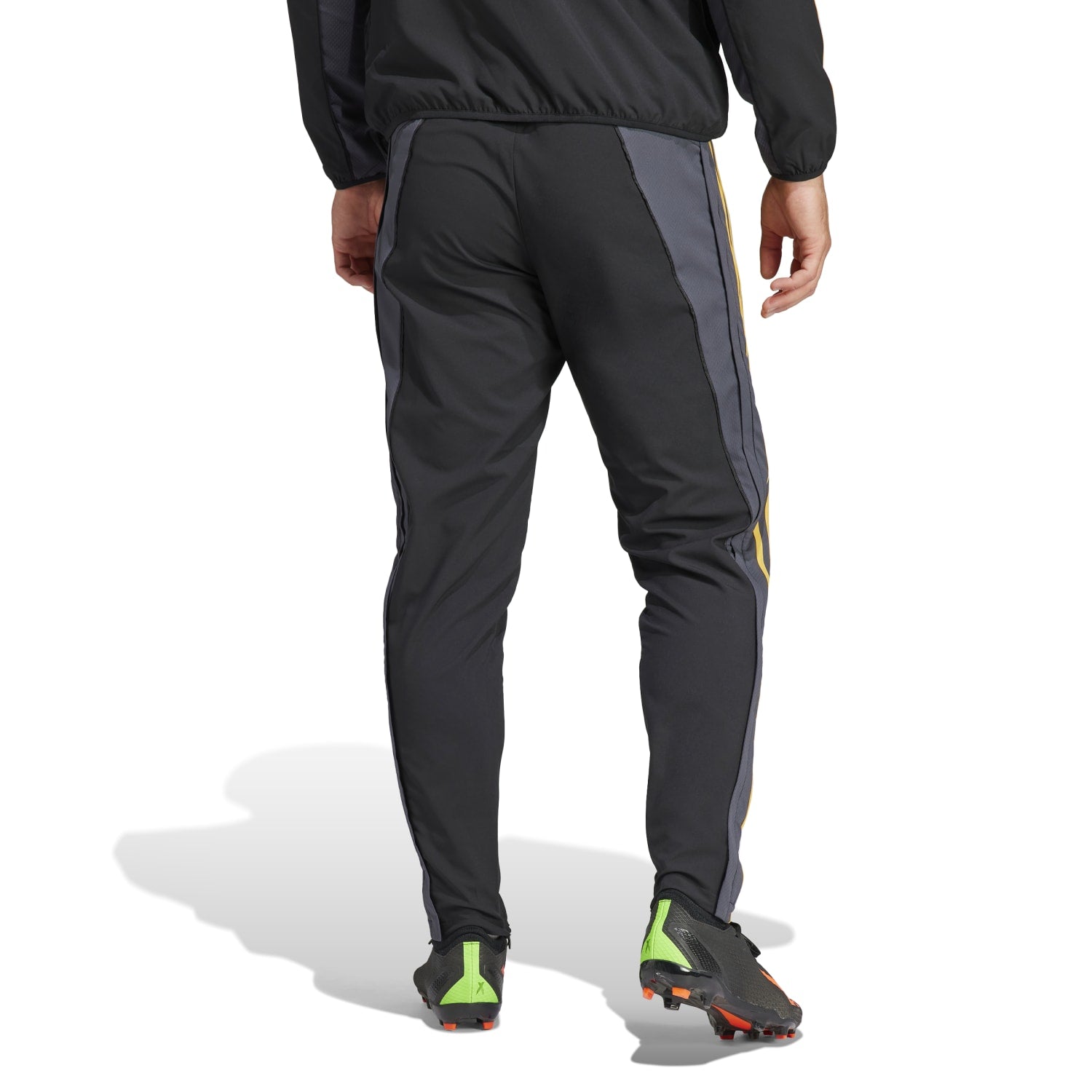 Pantalón adidas Himno UCL Hombre 23/24