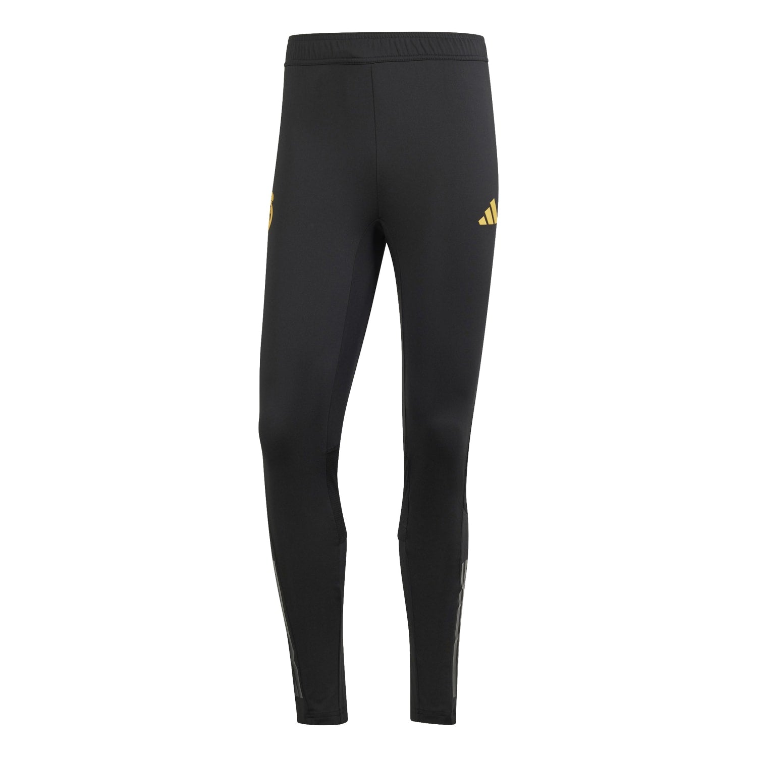 Pantalón Pro adidas Hombre Entrenamiento UCL 23/24