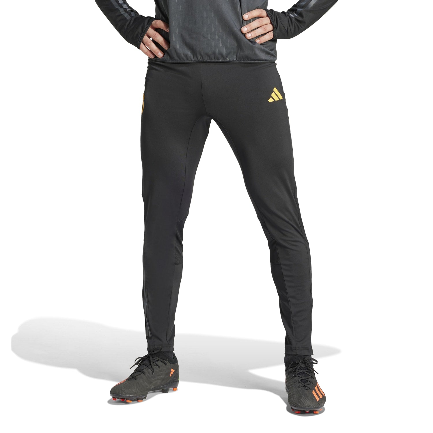 Pantalón Pro adidas Hombre Entrenamiento UCL 23/24