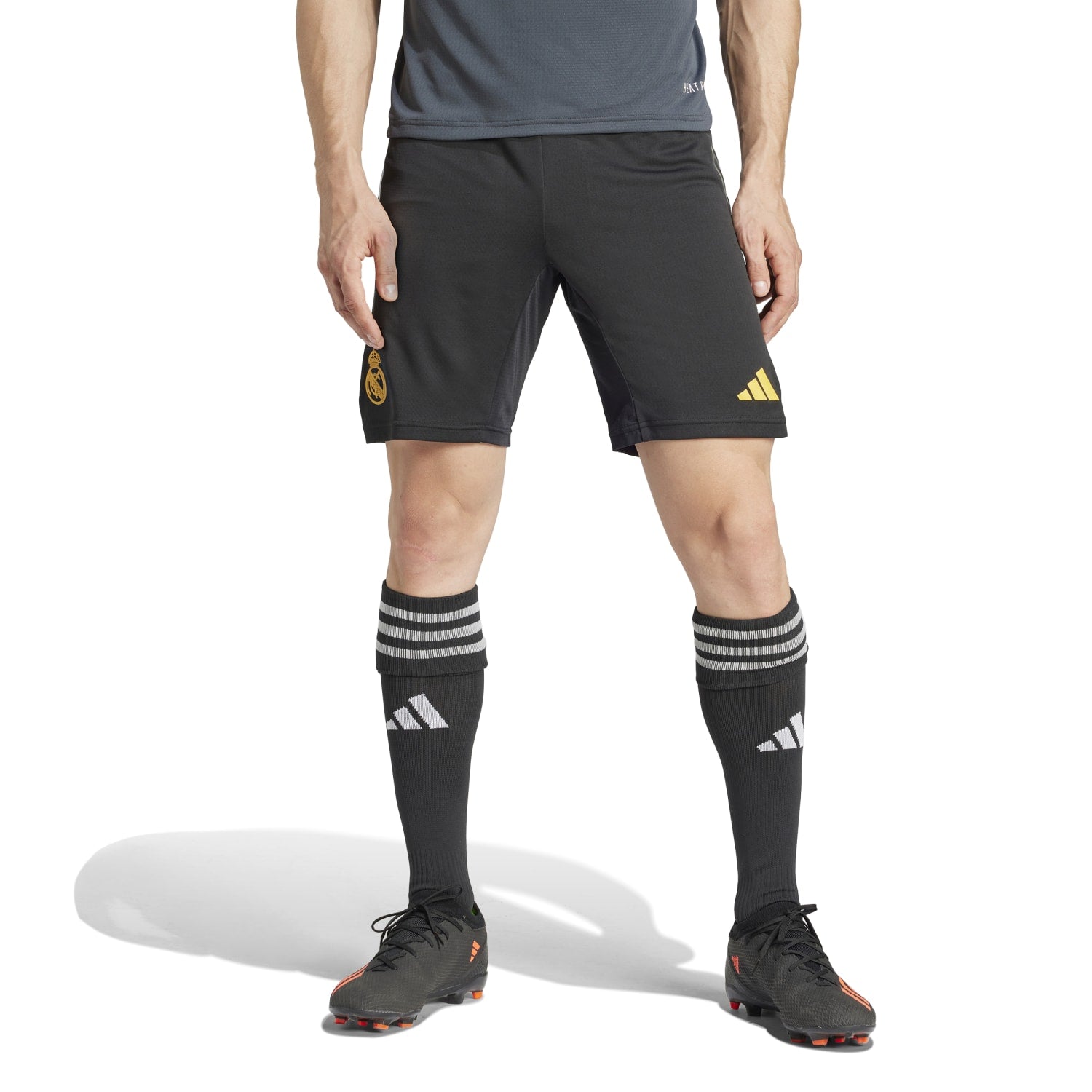 Pantalón Corto adidas Pro Hombre Entrenamiento UCL 23/24