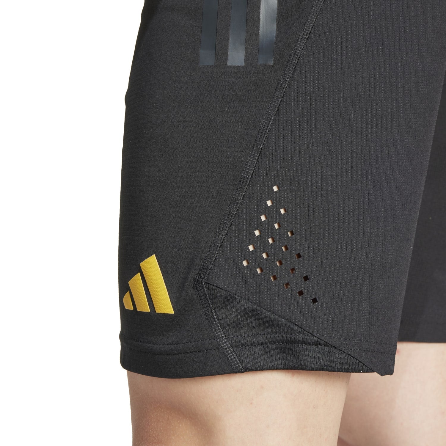 Pantalón Corto adidas Pro Hombre Entrenamiento UCL 23/24