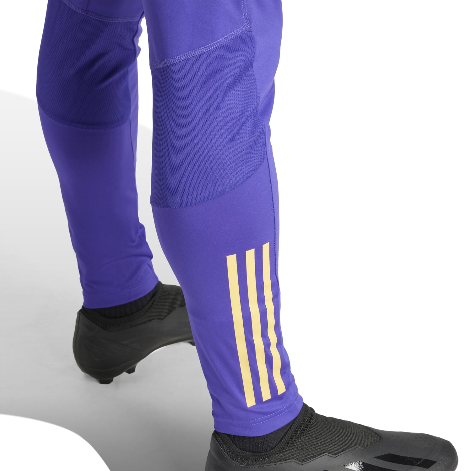 Pantalón Chándal Pro Hombre Entrenamiento Azul 23/24