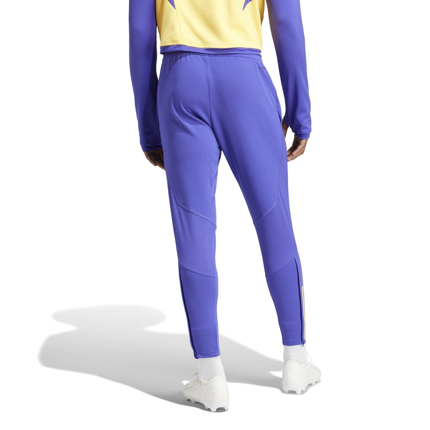 Pantalón Chándal Hombre Entrenamiento Azul 23/24