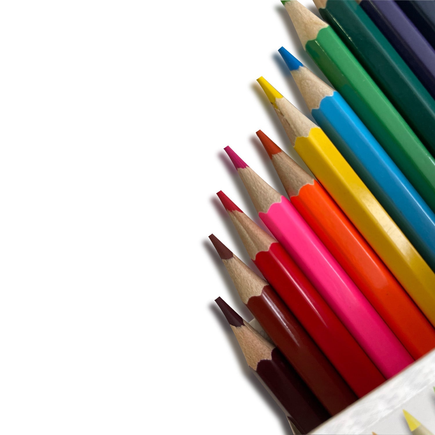 12 Lápices Multicolor