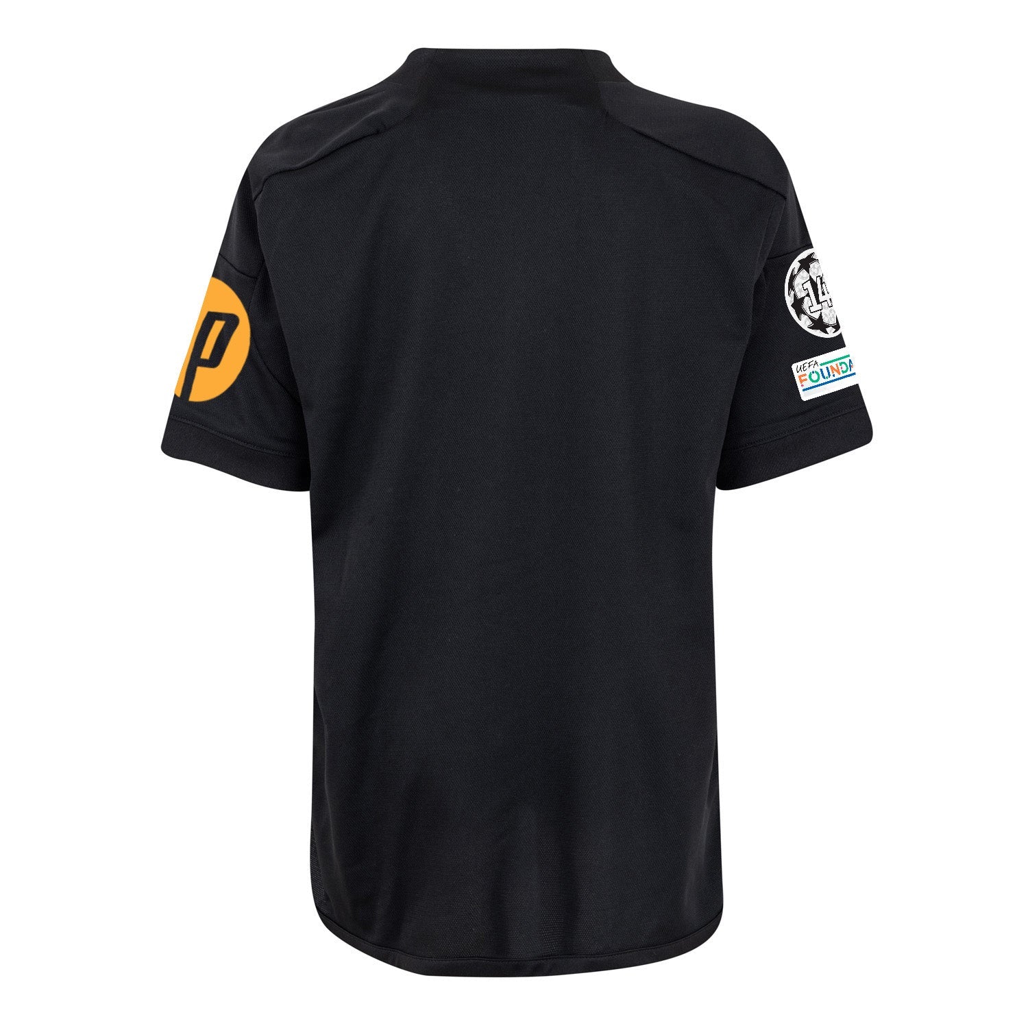 [customize-champions-league]