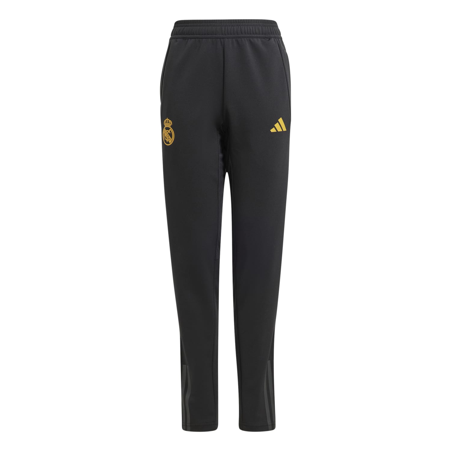 Pantalón Chándal Técnico adidas Niños Entrenamiento UCL 23/24