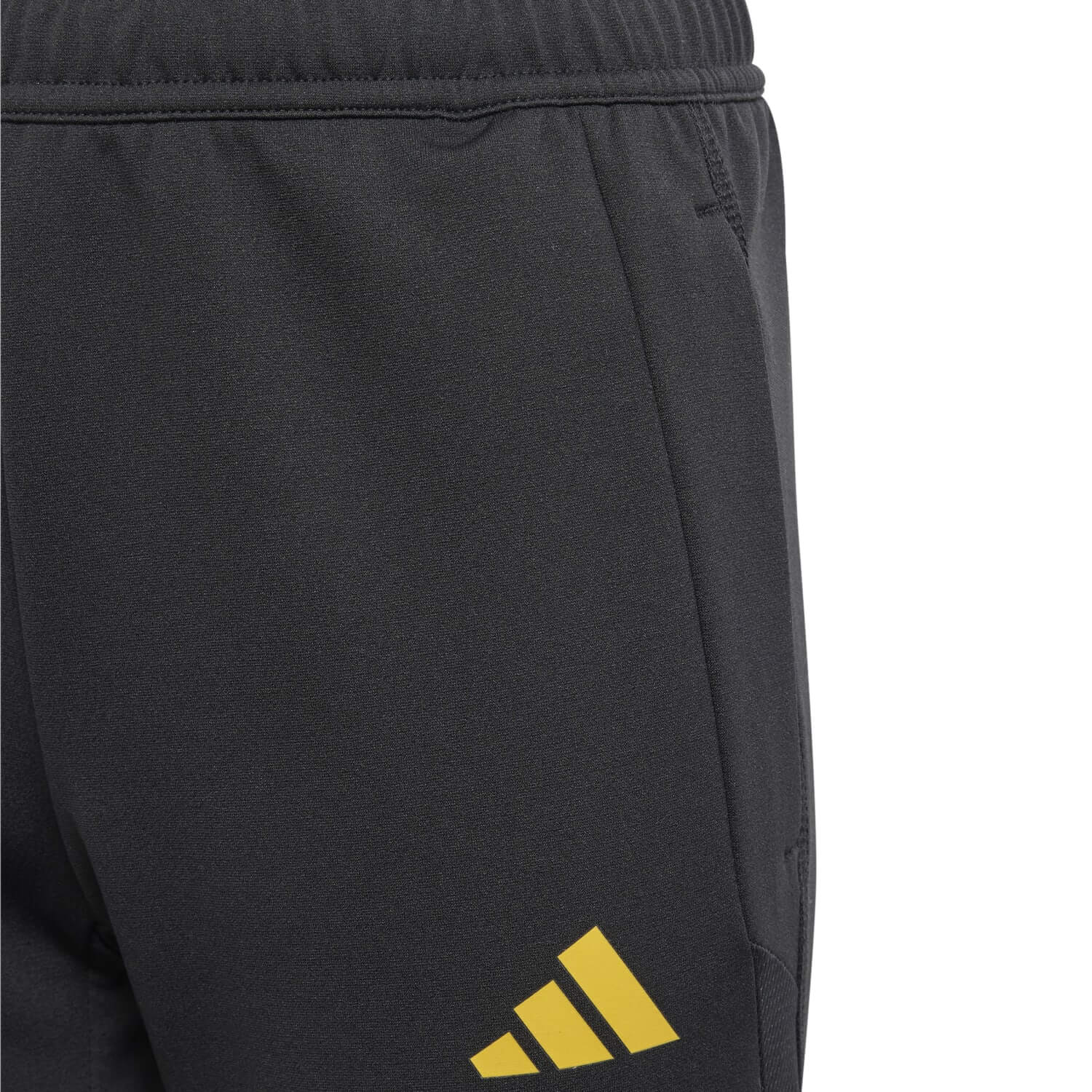 Pantalón Chándal Técnico adidas Niños Entrenamiento UCL 23/24