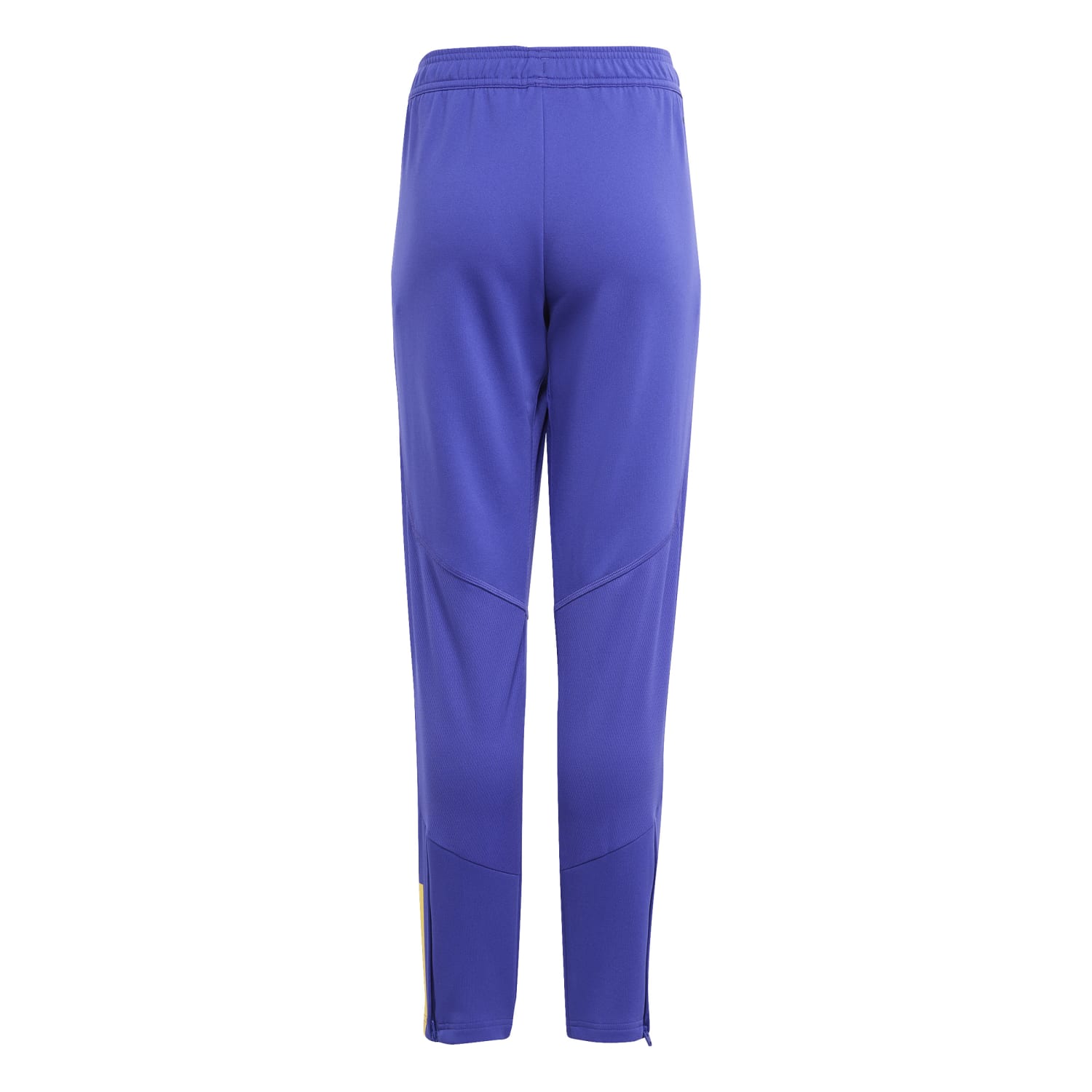 Pantalón Chándal Niños Entrenamiento Azul 23/24