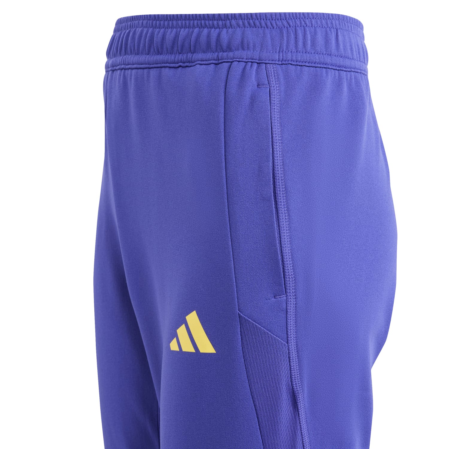 Pantalón Chándal Niños Entrenamiento Azul 23/24