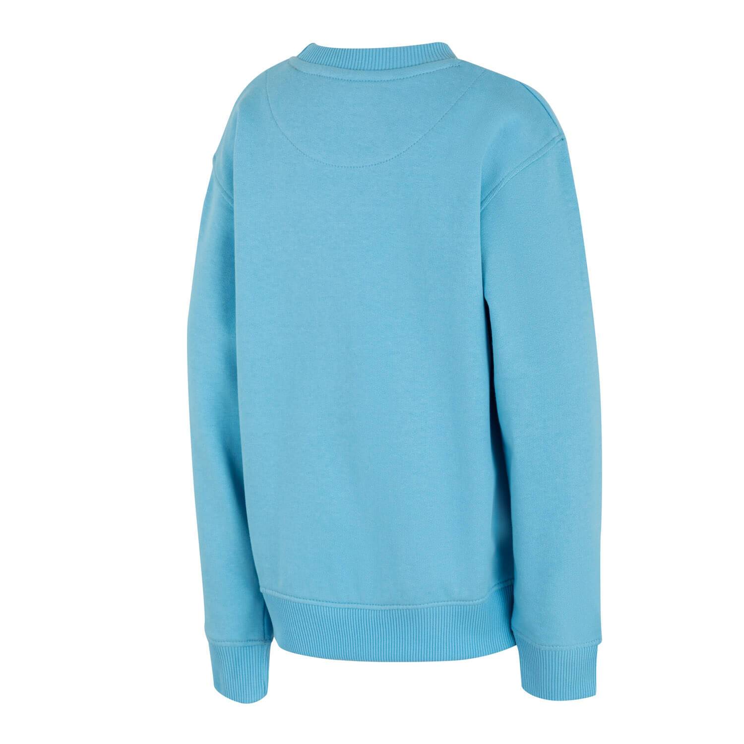 Sudadera Niño Essentials Gris Azul