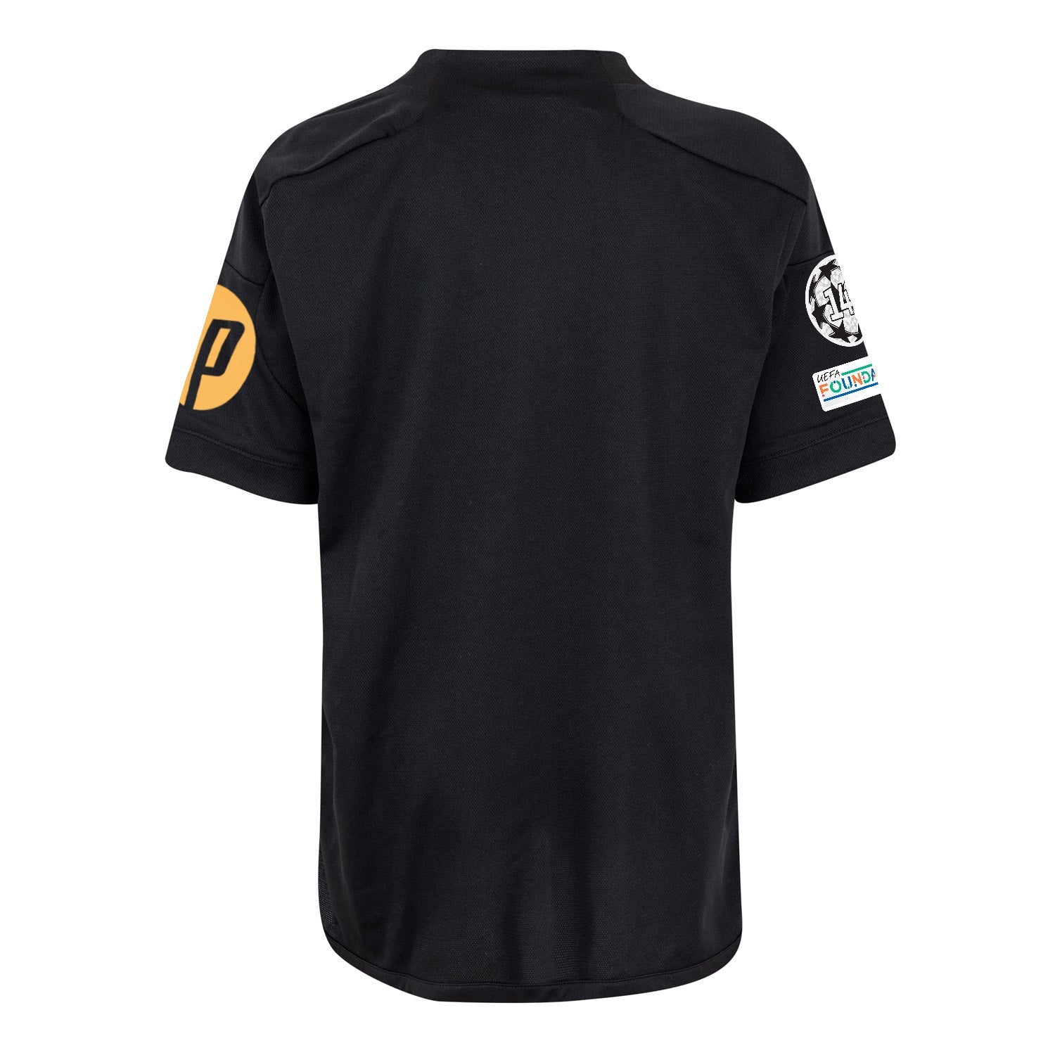 [customize-champions-league]